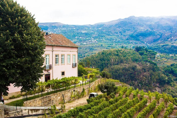 Wine Tasting Douro - Quinta Barqueiros D'Ouro