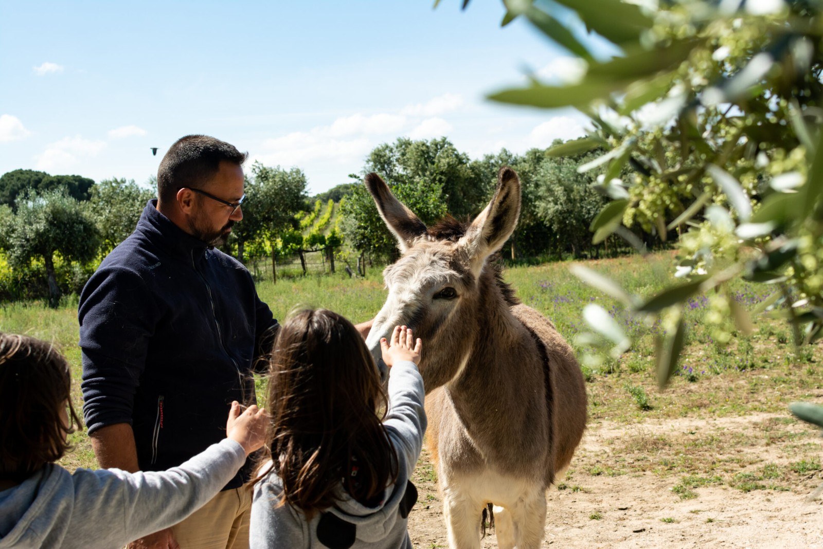 Reis da Quinta - Agroturismo
