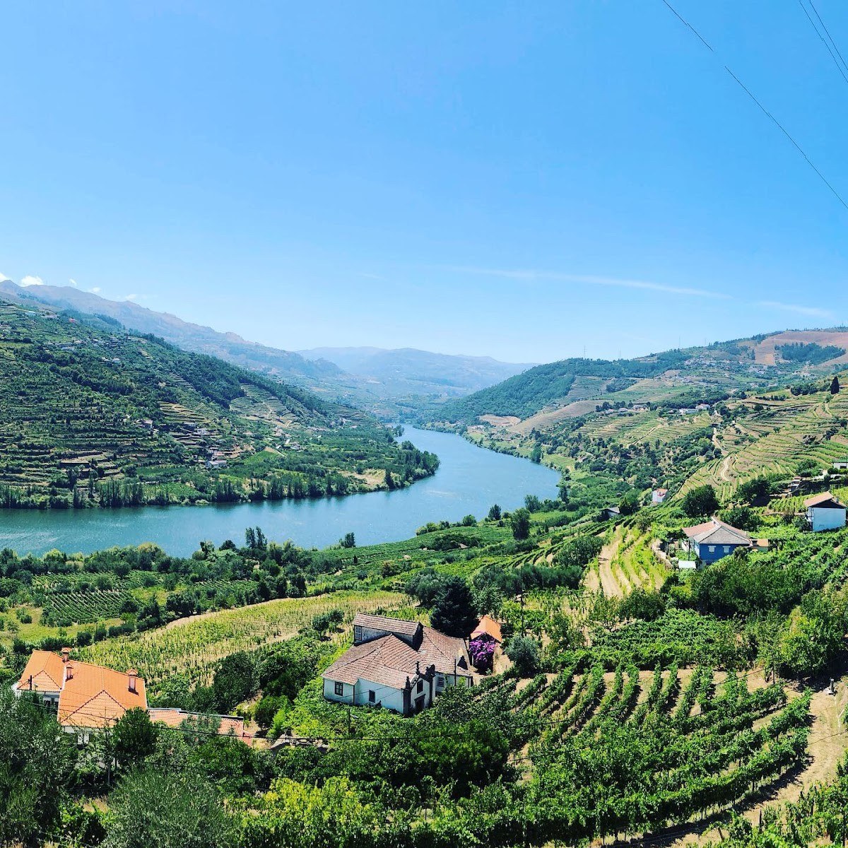 Quinta dos Murças, Esporão