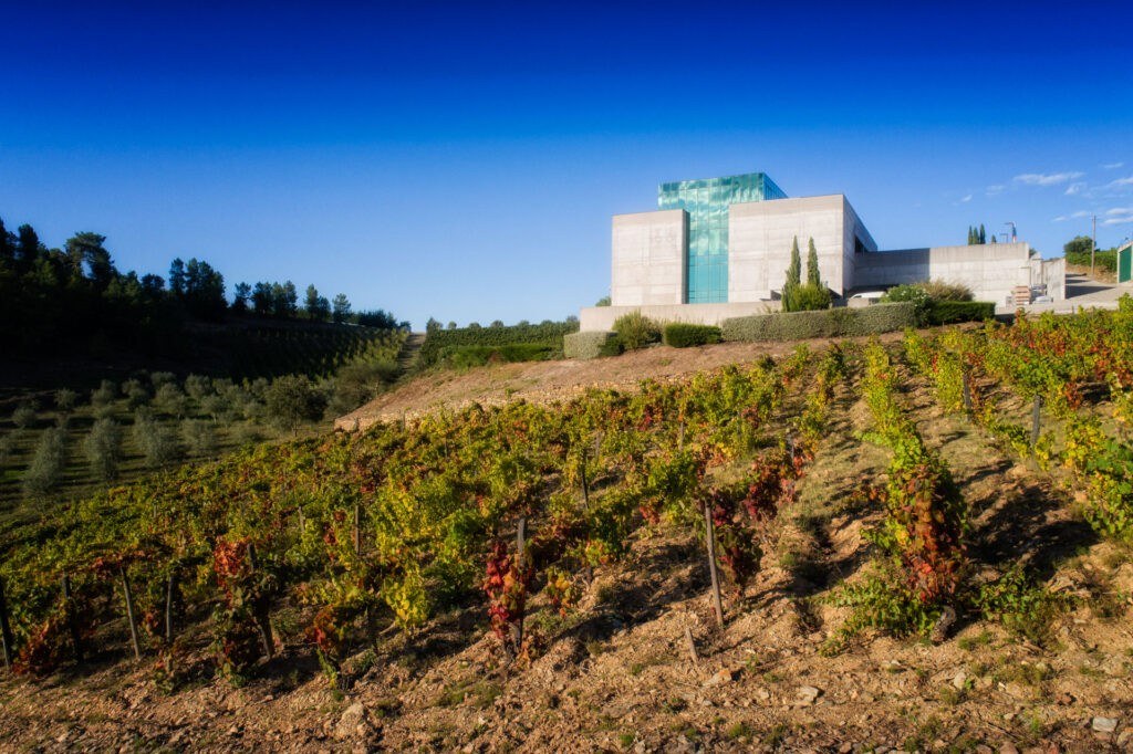 Quinta do Pessegueiro - Adega e Visitas