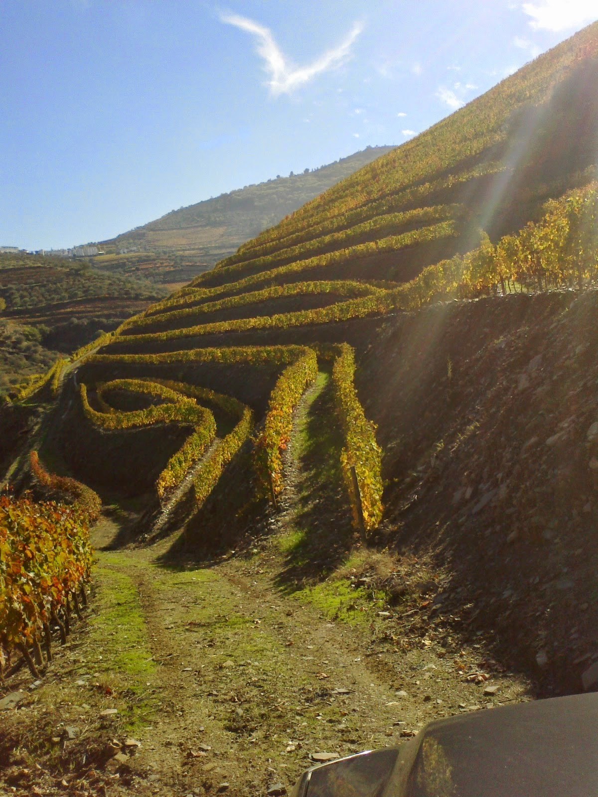 Quinta da Fonte Nova