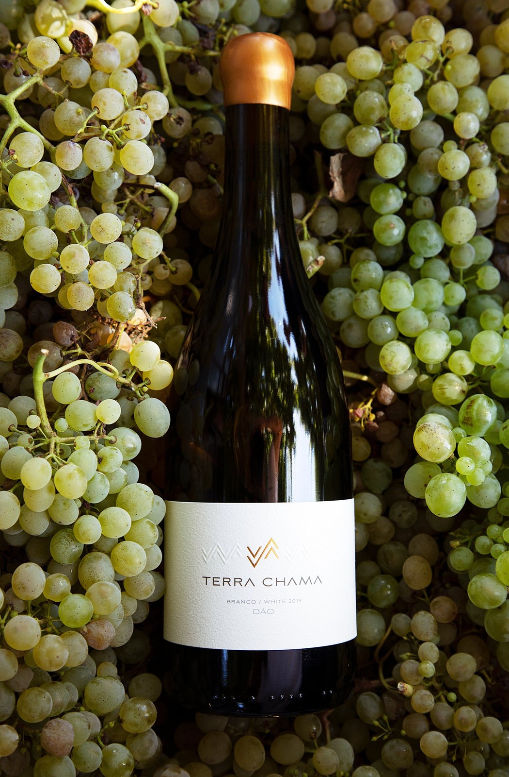 Terra Chama Wines