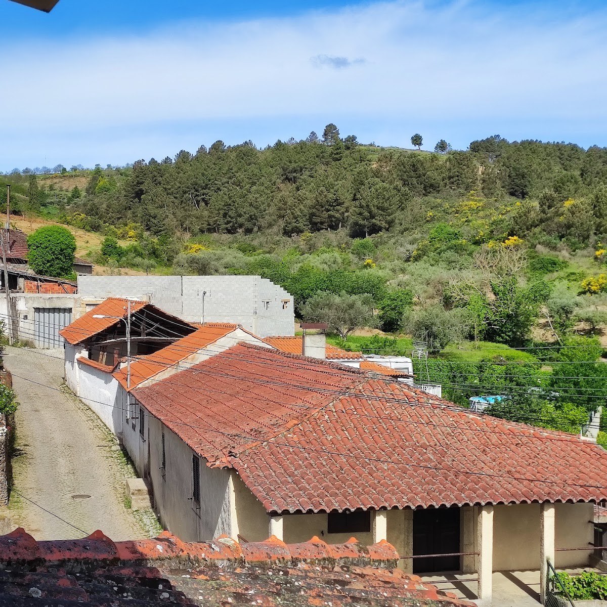 Quinta Rota d' Oliveira