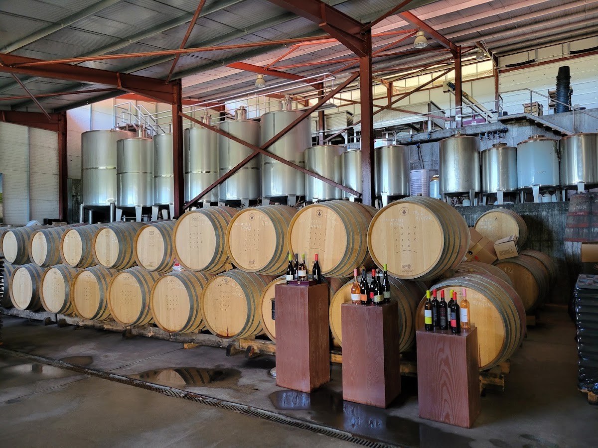 Quinta de arcossó Vinho