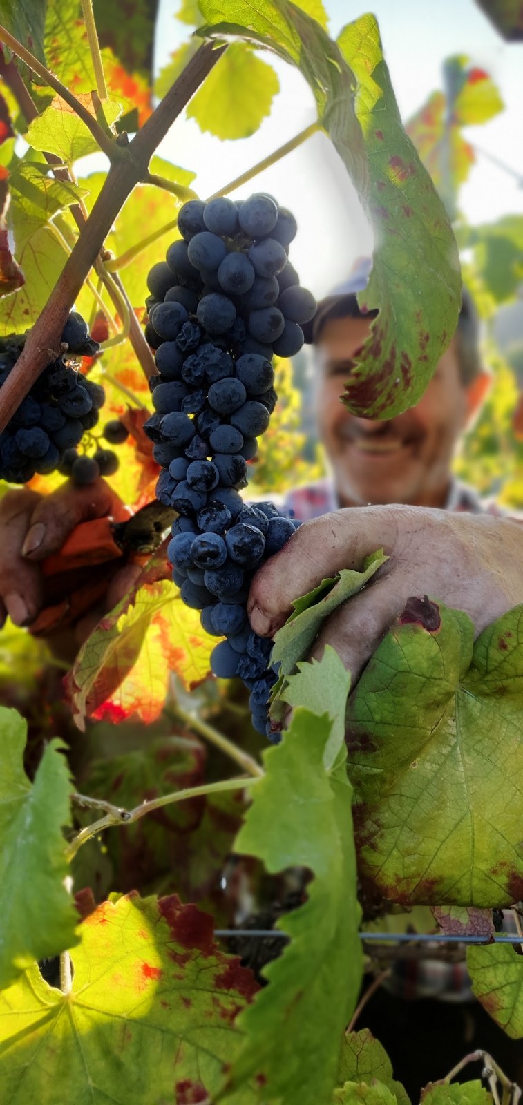 Quinta de Silvoso