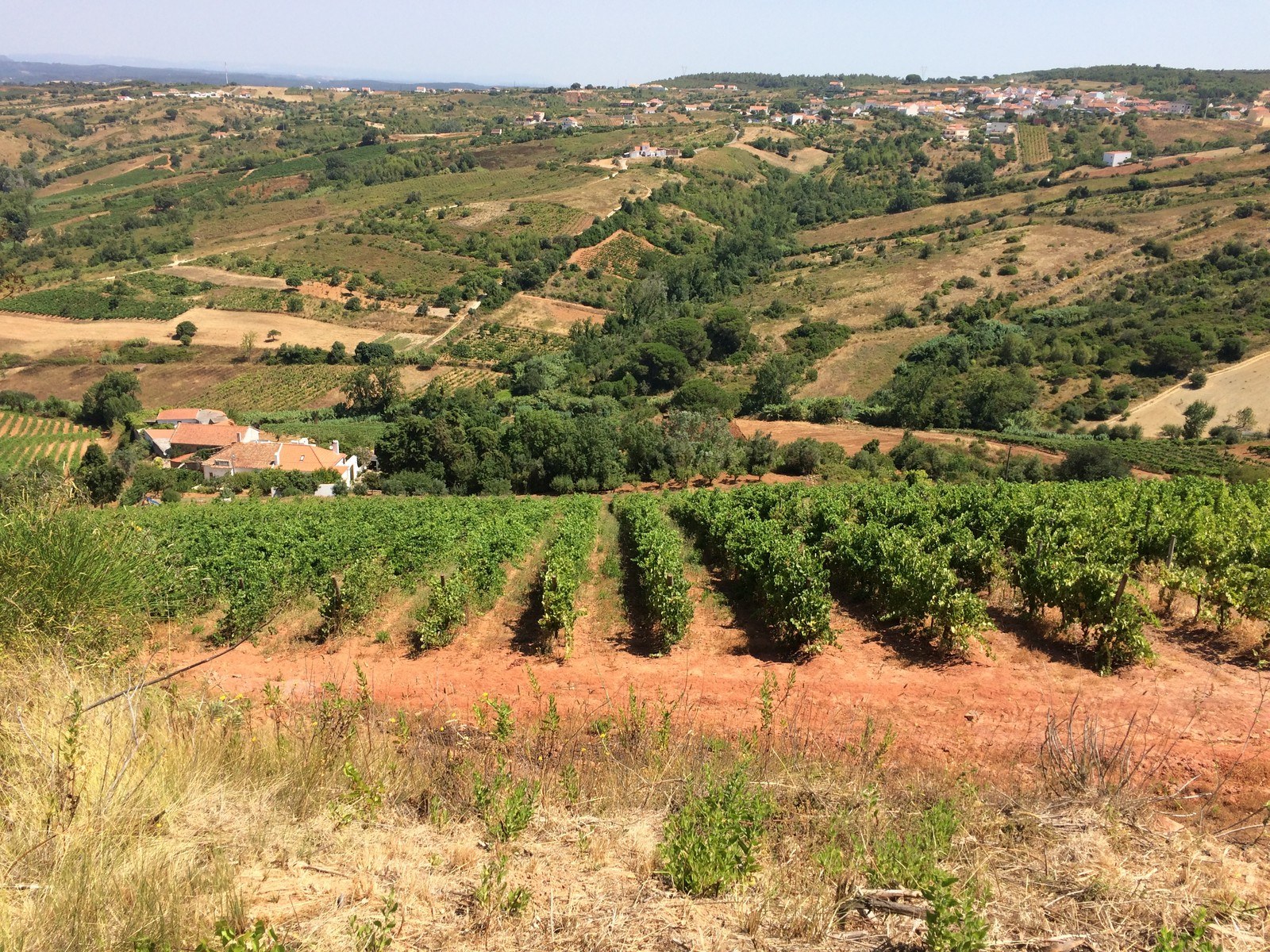 Quinta de Vale Mourisco