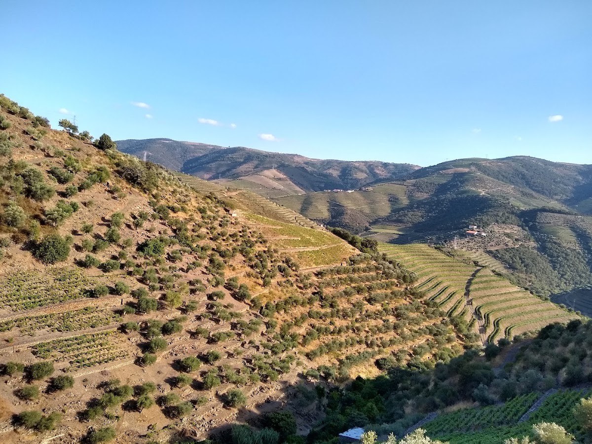 Quinta do Monte Bravo