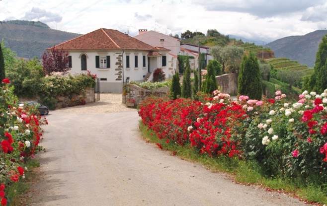 Sociedade Agrícola Quinta de Ramozeiros Lda