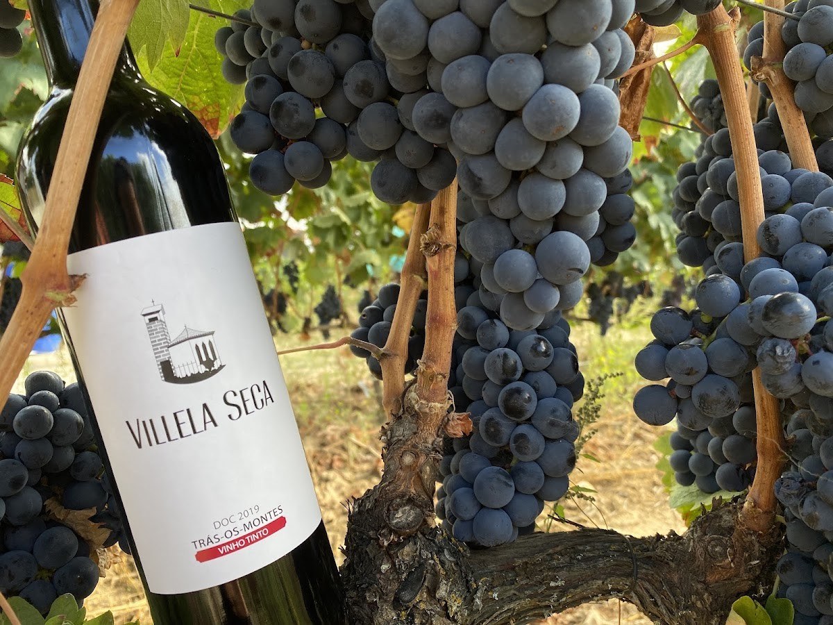 Villela Seca Vinhos