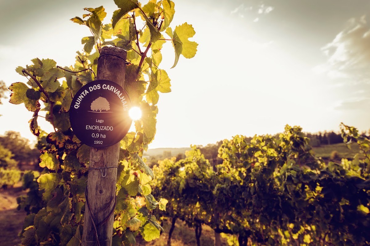 Quinta dos Carvalhais - Sogrape
