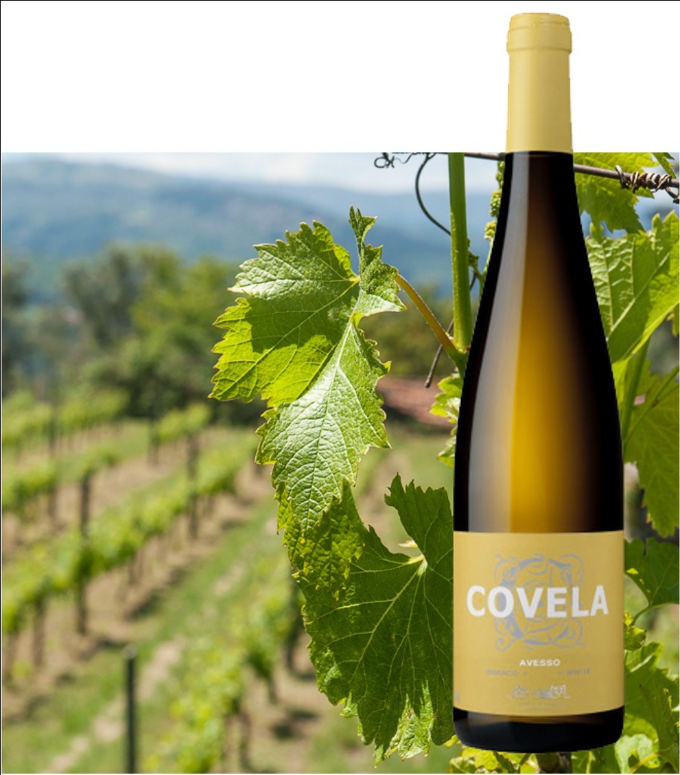 Quinta de Covela