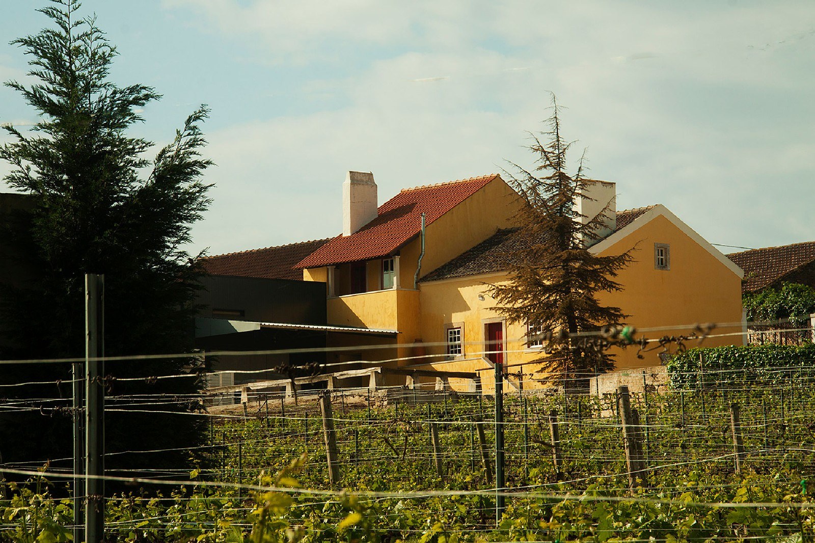 Quinta dos Capuchos