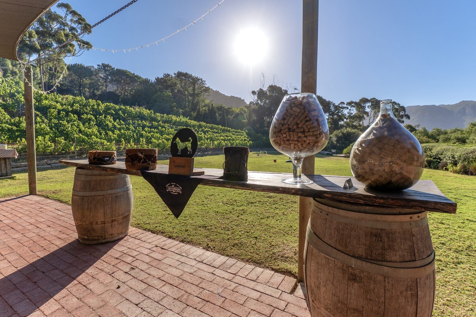 Silvermist Organic Wine Estate
