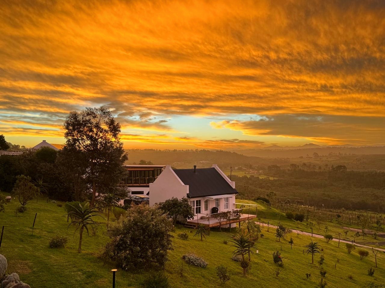 Plettenvale Wines - Accommodation + Venue