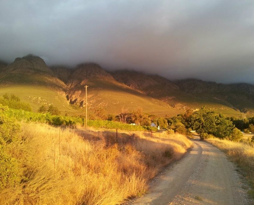 Schalkenbosch Wine Estate & Accommodation - Tulbagh