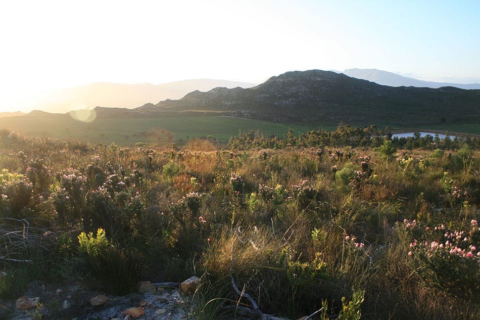 Paardenkloof Estate Wines (Pty) Ltd