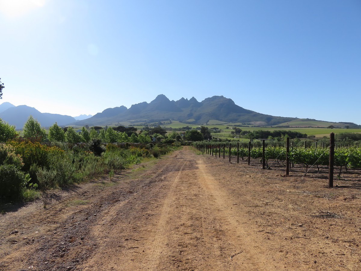 Paul Roos Wine