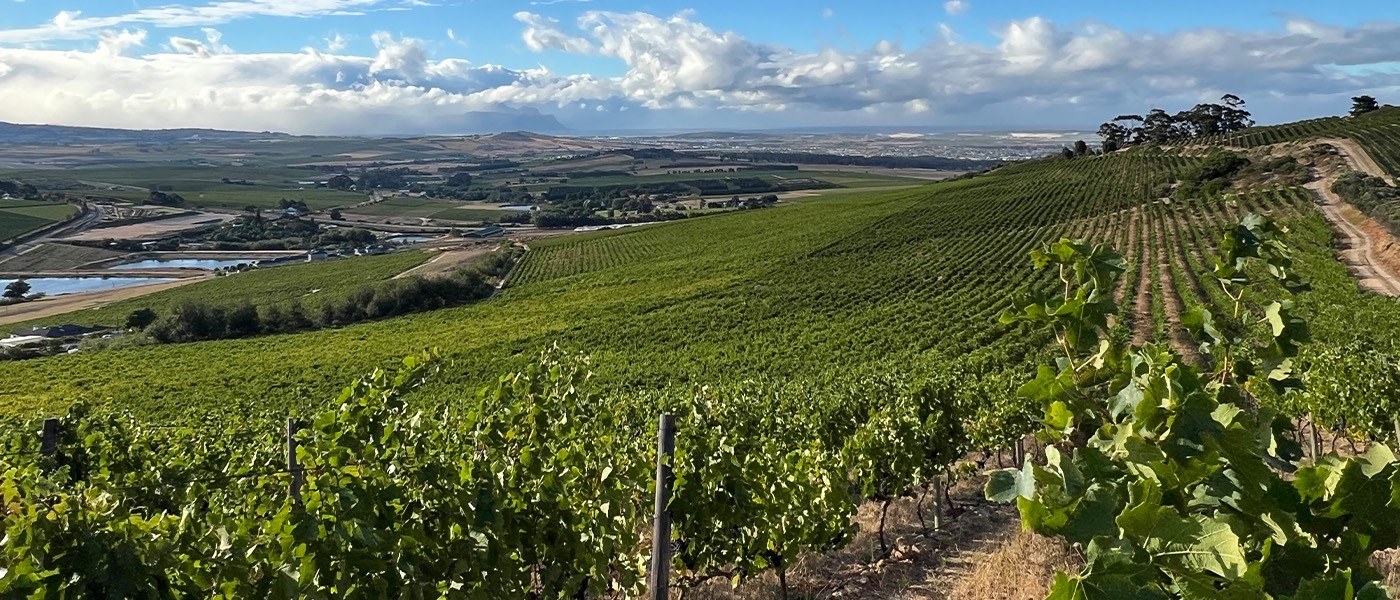 Illimis wines