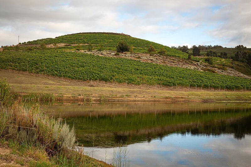Paul Wallace Wines