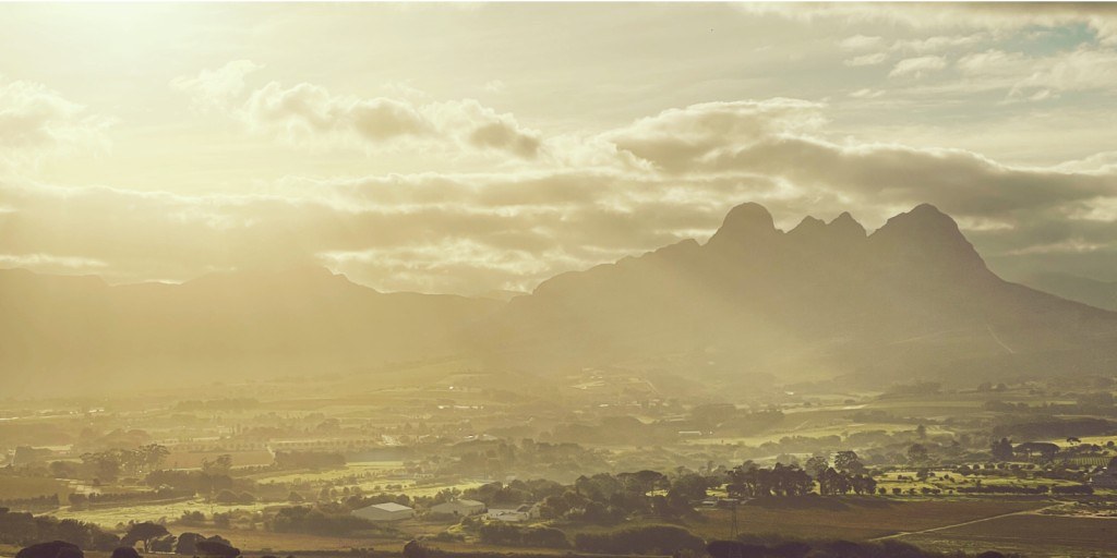Scions of Sinai Wines