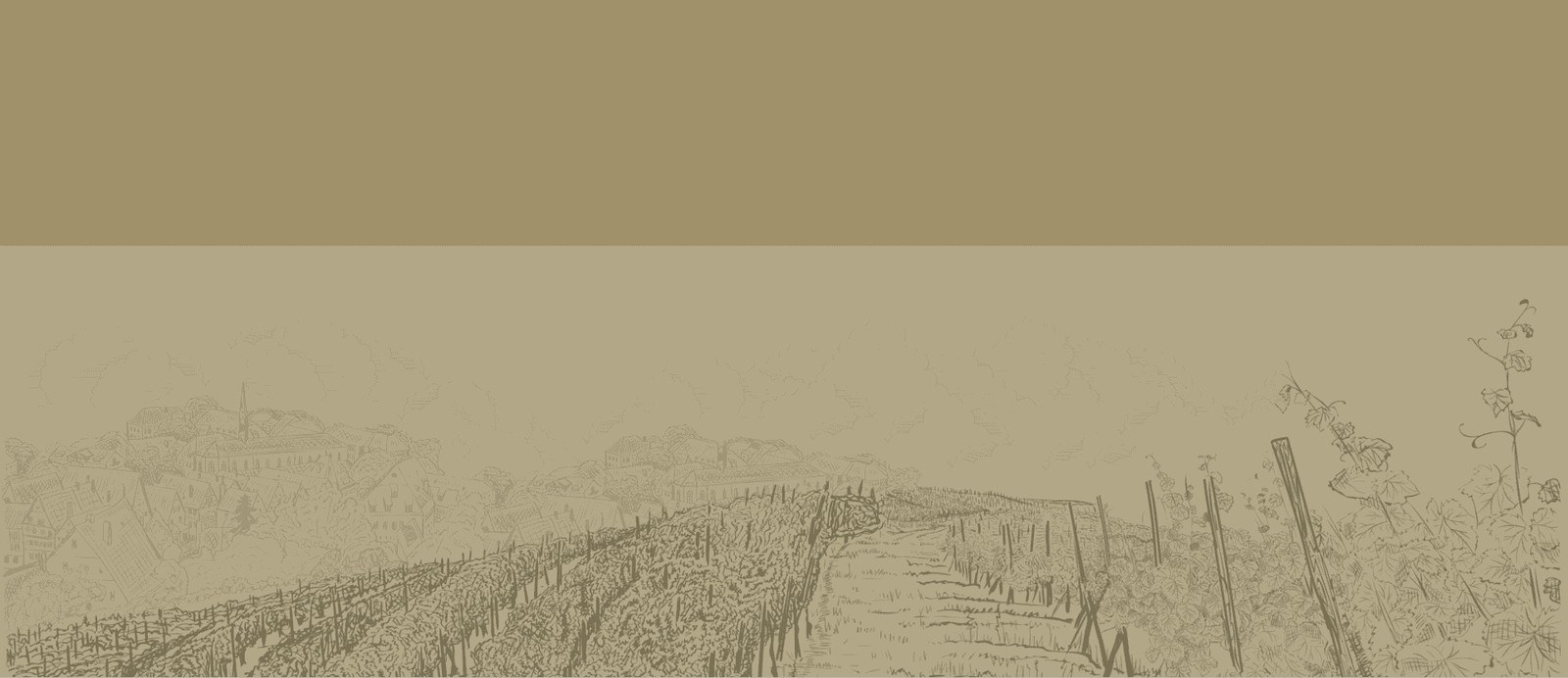 Meerendal Wine Estate