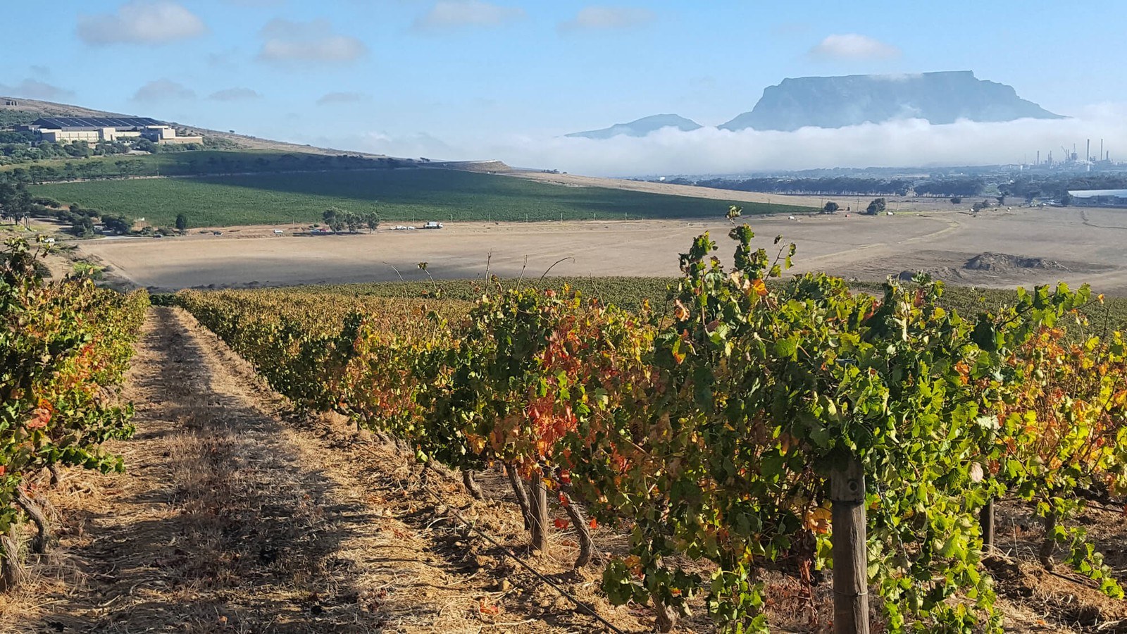 Mellish Family Vineyards