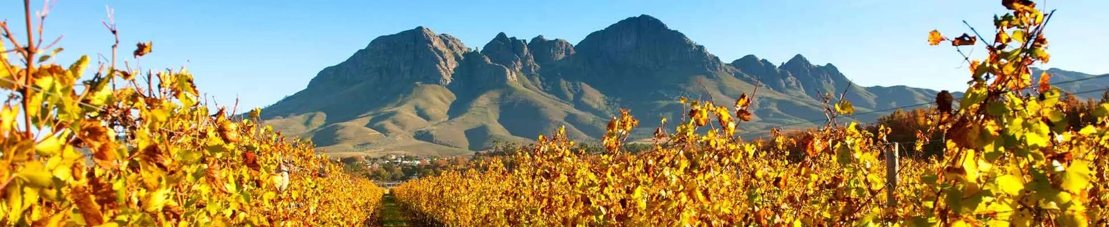 Lourensford Winery / Tasting Room