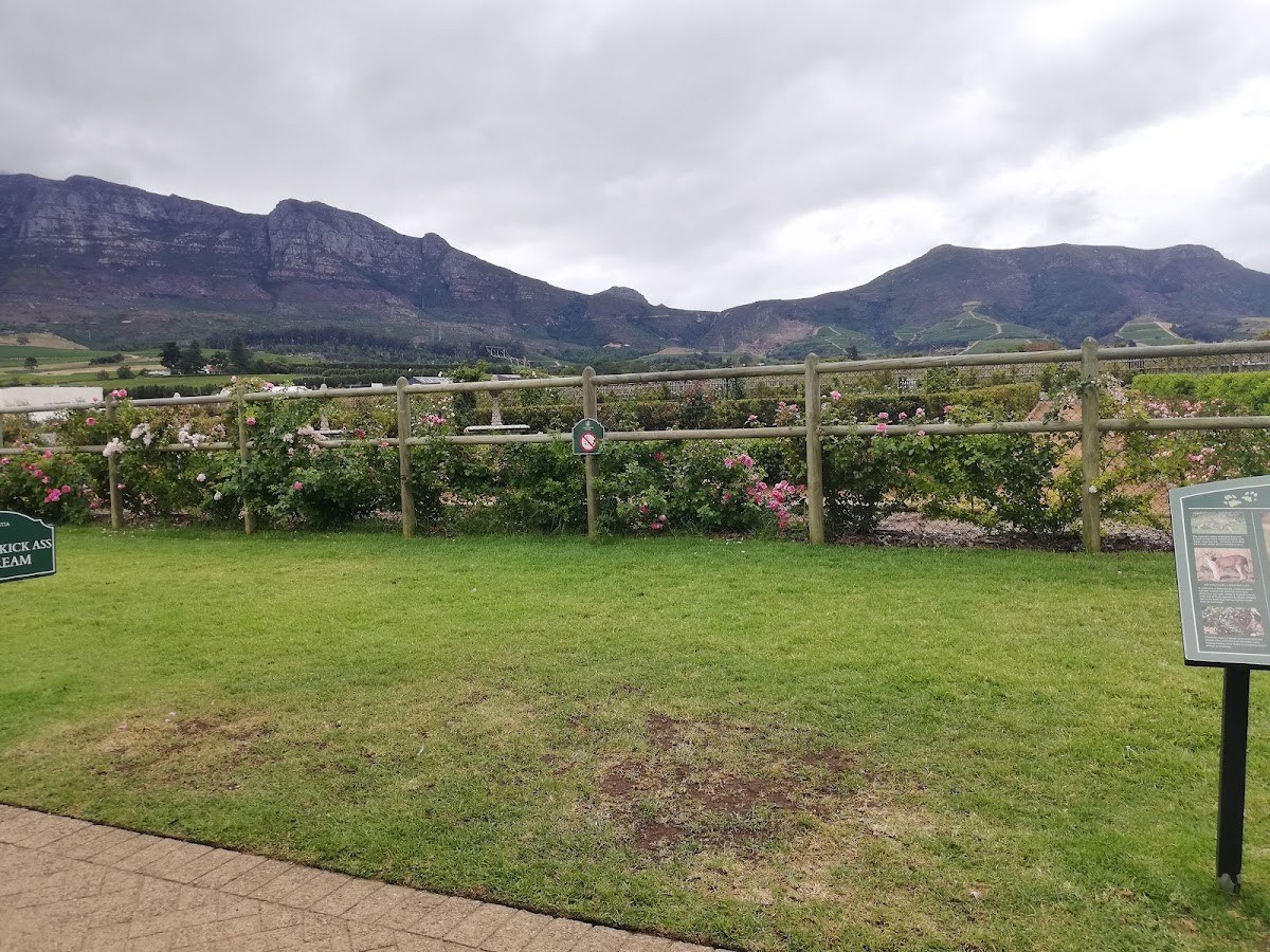 Constantia Uitsig