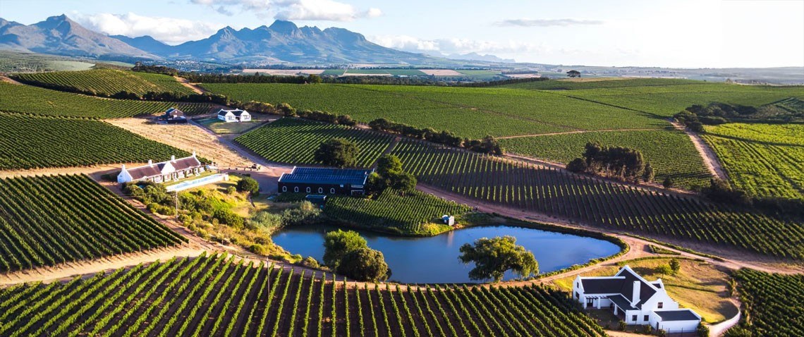 Aaldering Vineyards & Wines