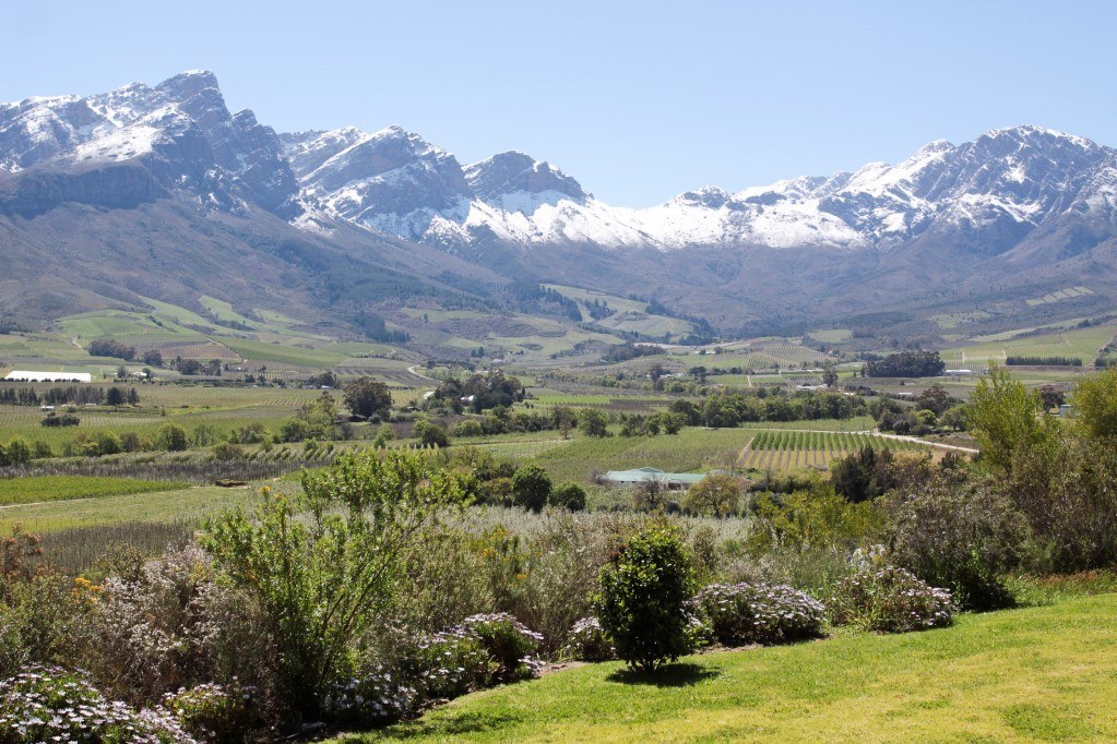 Lemberg Estate