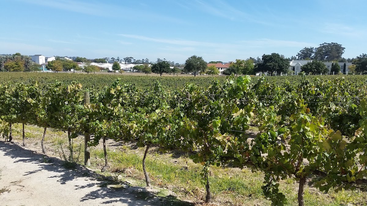 Wine Estate - Sylvanvale Vineyards