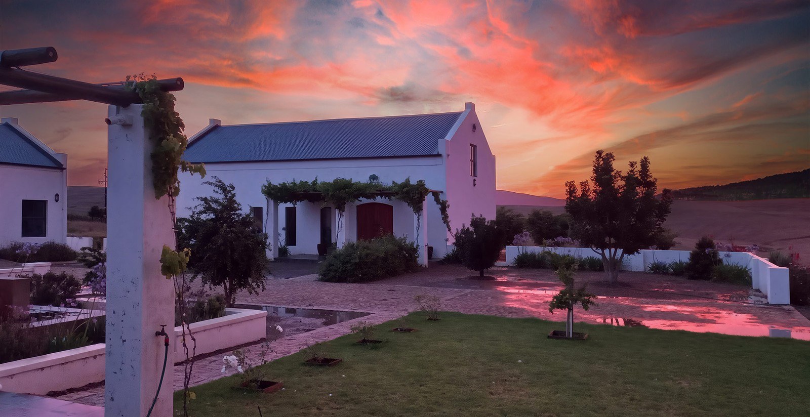 Delphin Wines