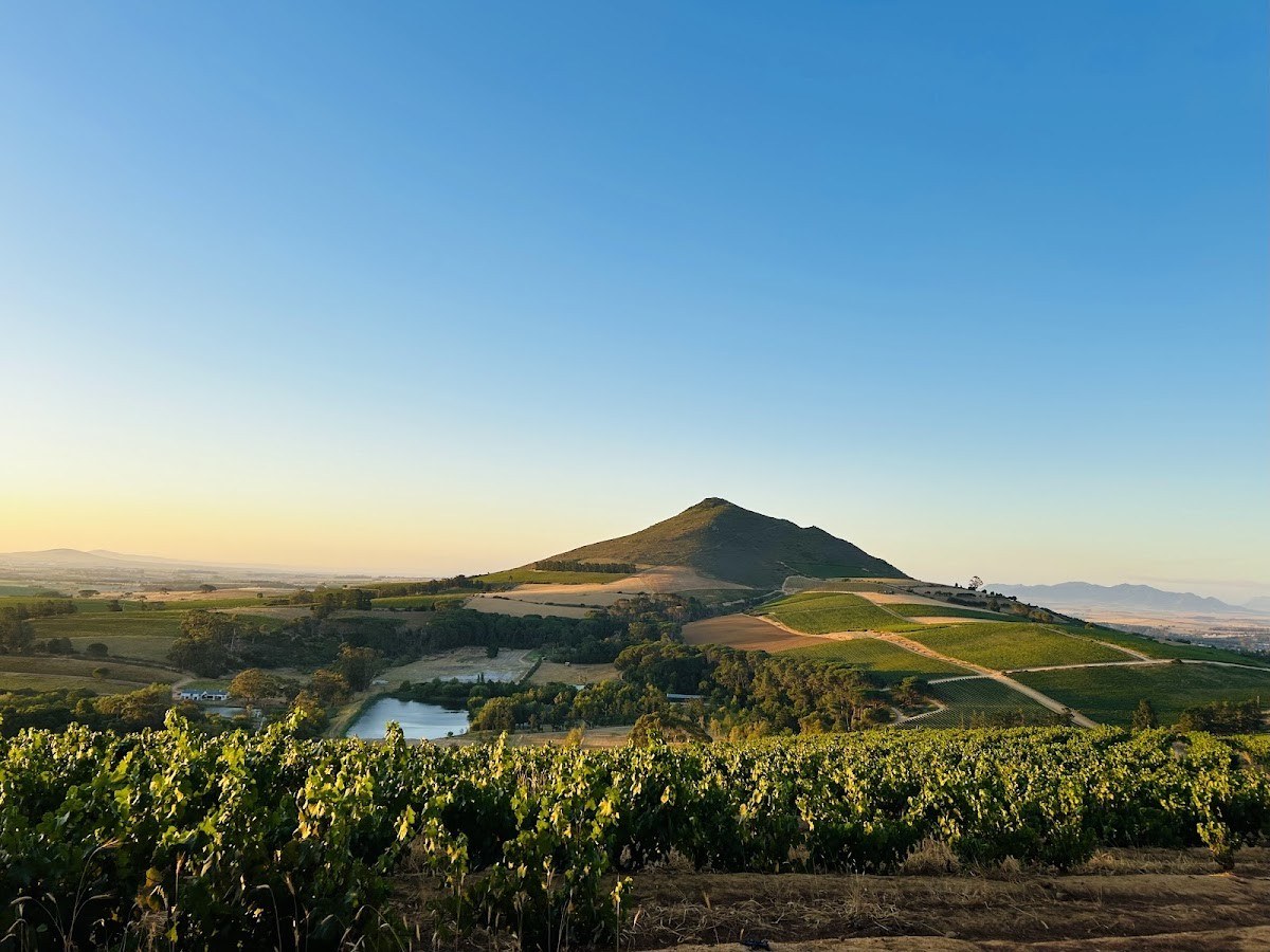MAN Family Wines