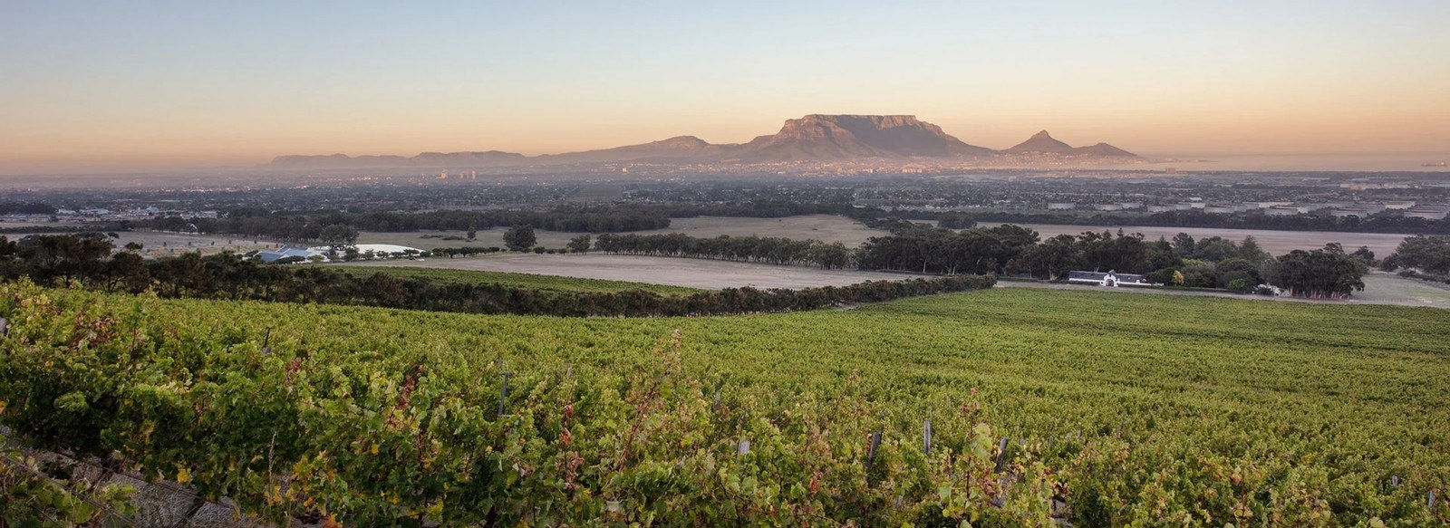 De Grendel Wine Estate and Restaurant