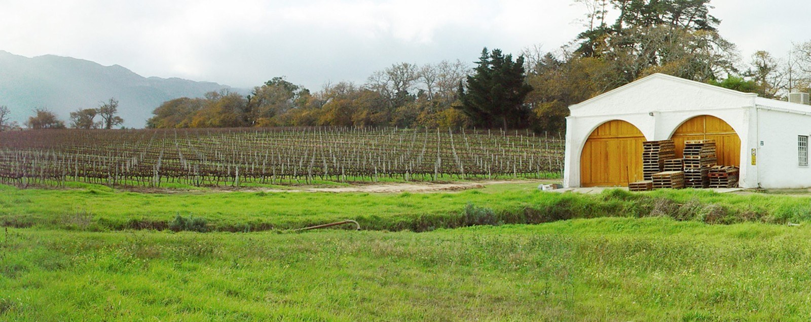 Wade Bales Wine Co.