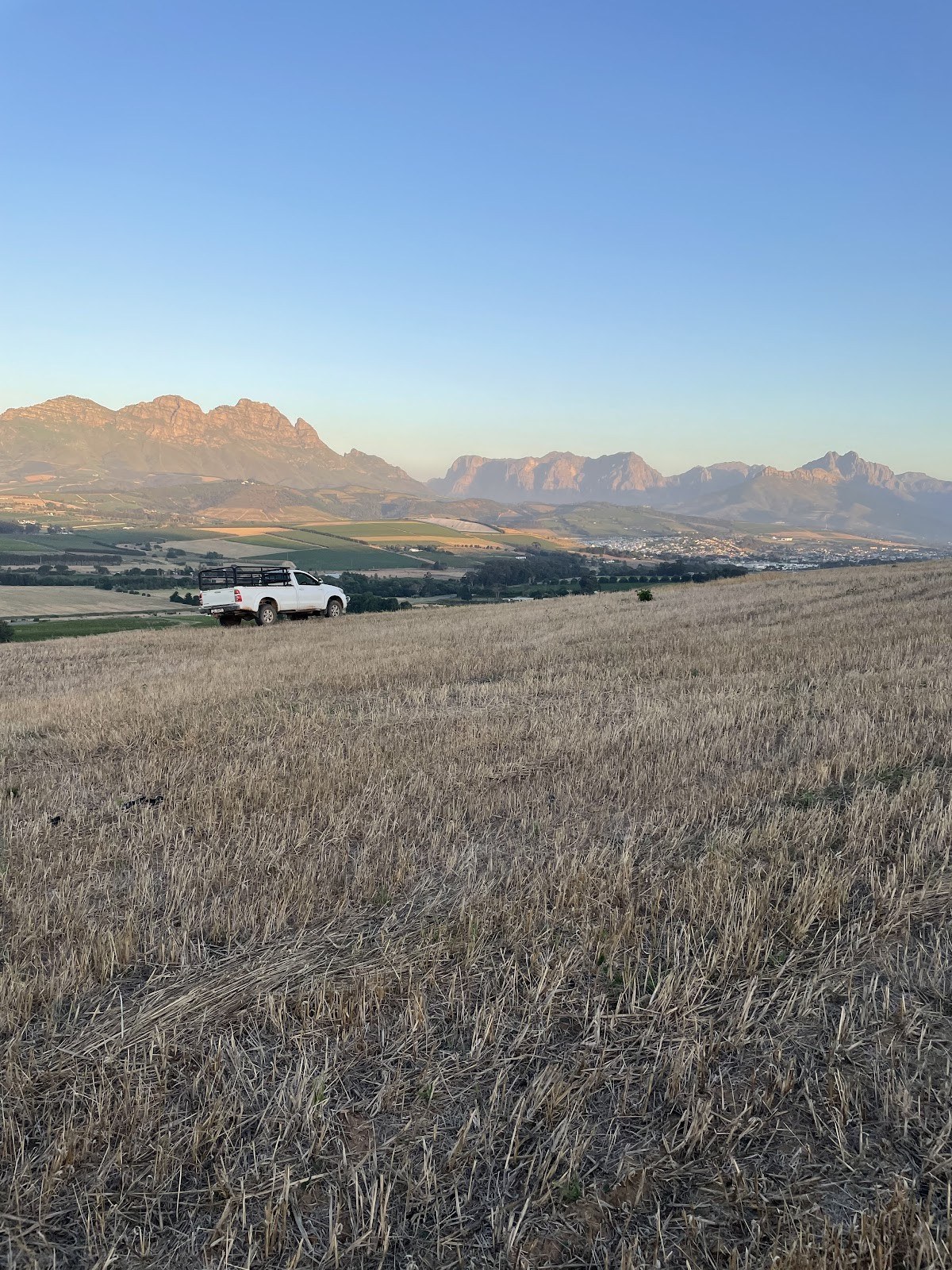 DU BOIS VINEYARDS