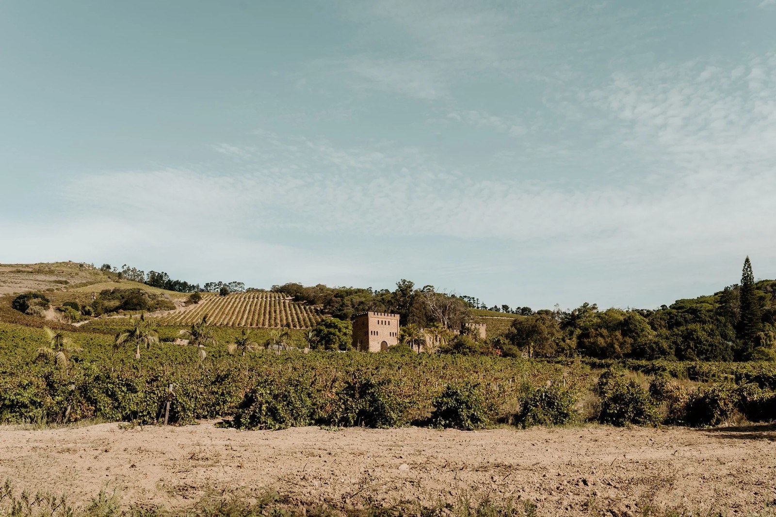 Fort Simon Wine Estate