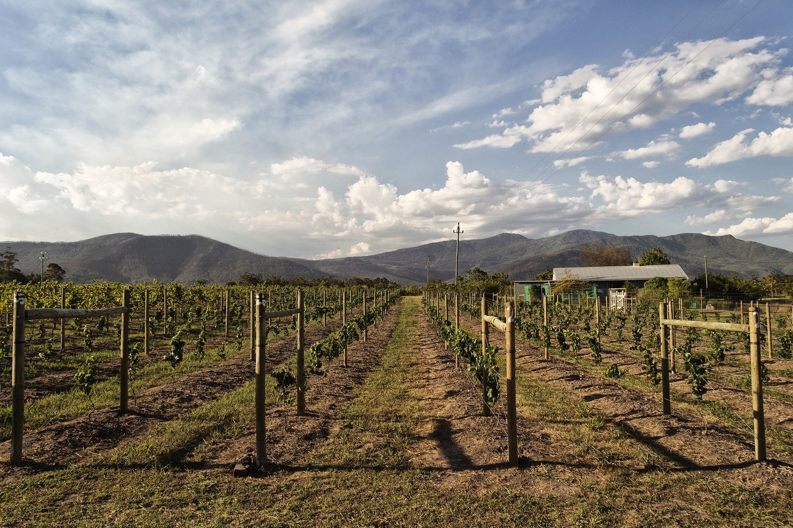 That Wine Demesne: with That Place & Ons Hoek