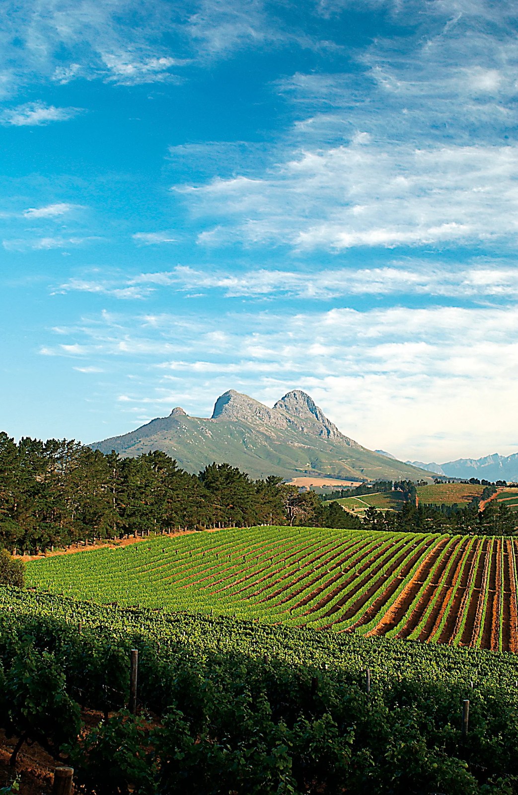 Marklew Family Wines