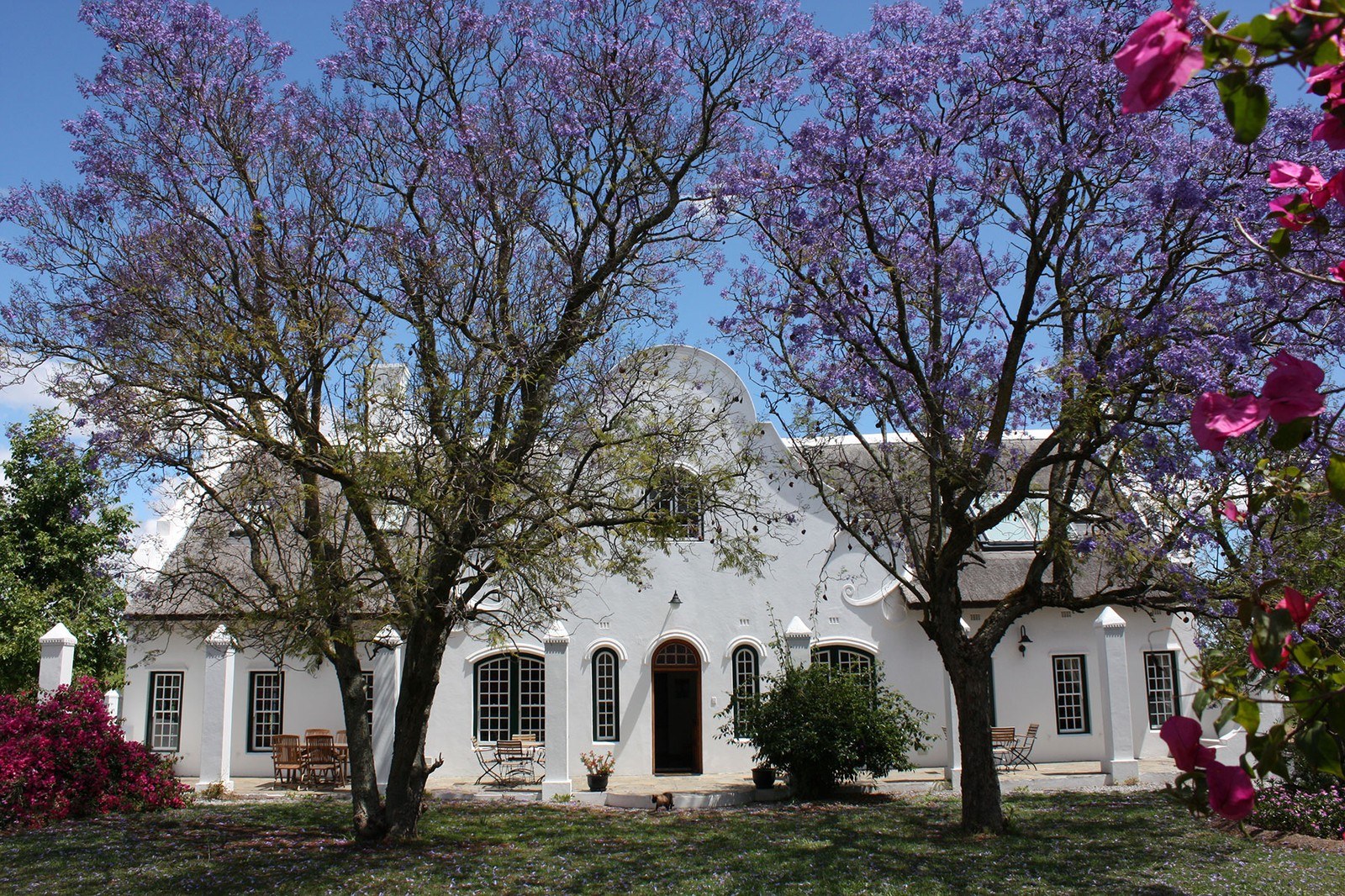 Wine Estate - Jacaranda Estate