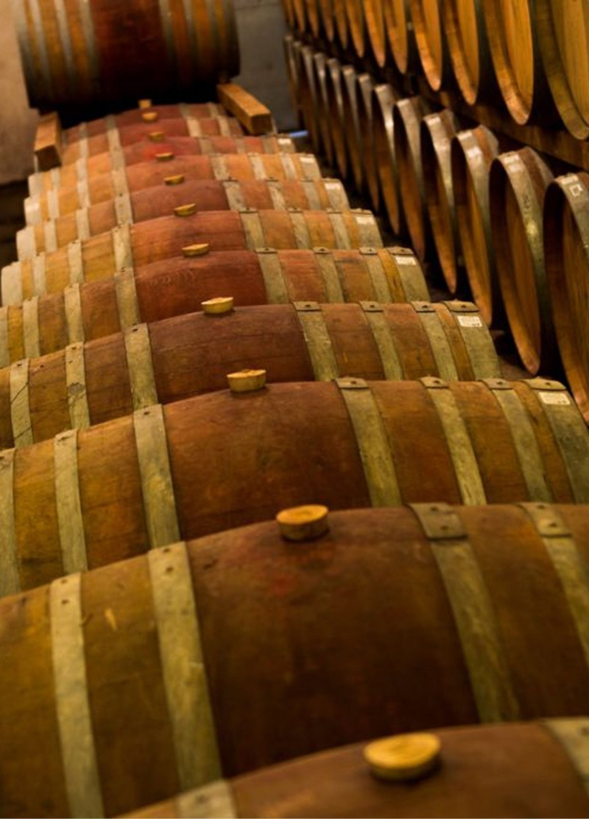 Zandvliet Wine Estate