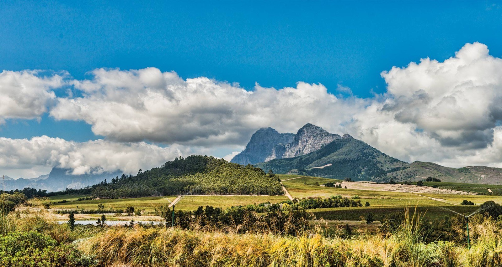 Anura Vineyards