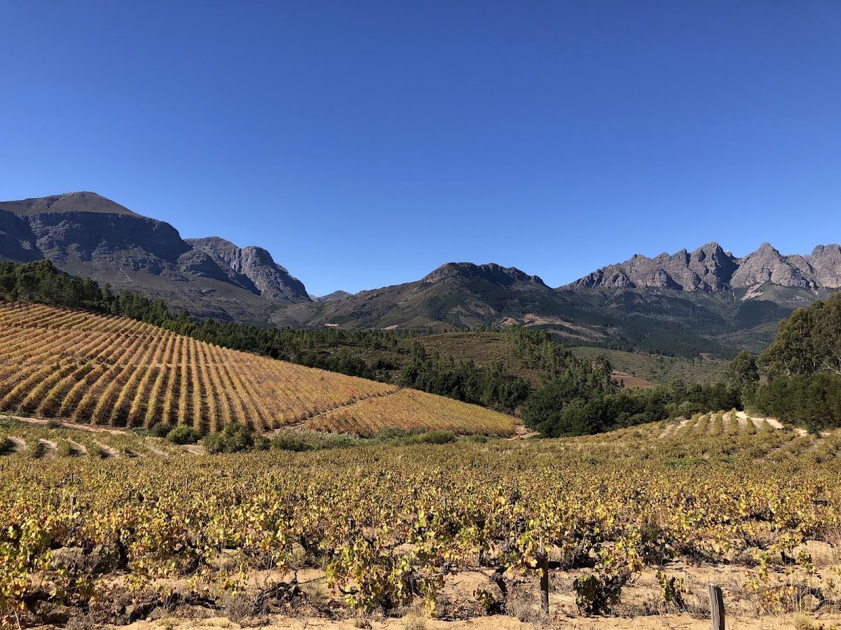 Welvanpas Family Vineyards