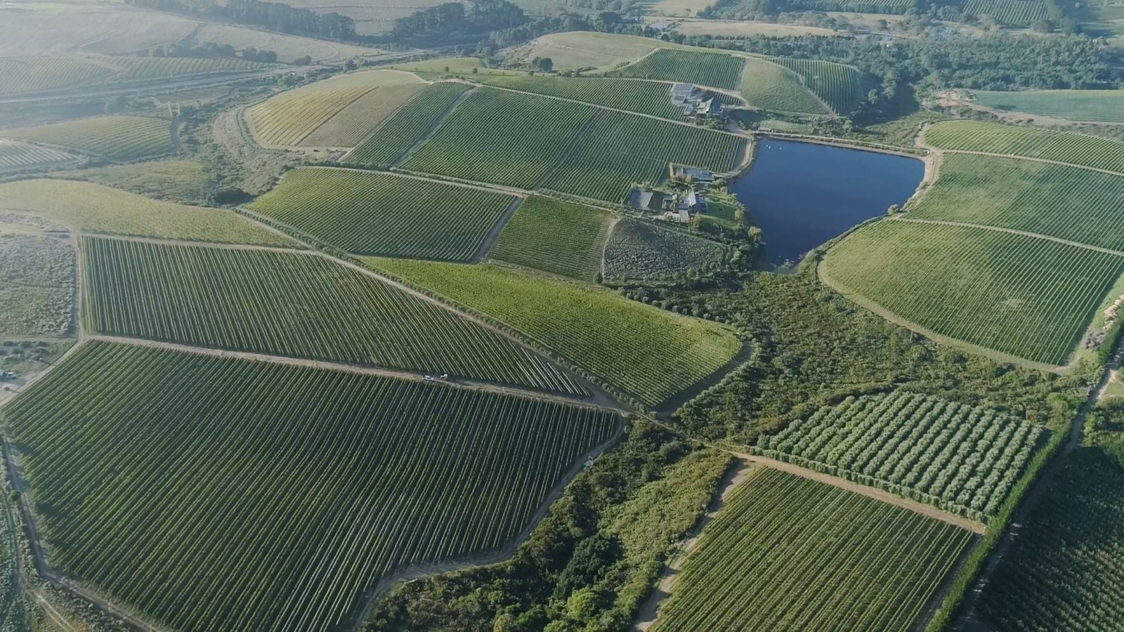 Catherine Marshall Wines