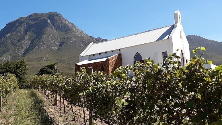 Overberg WINE WALK