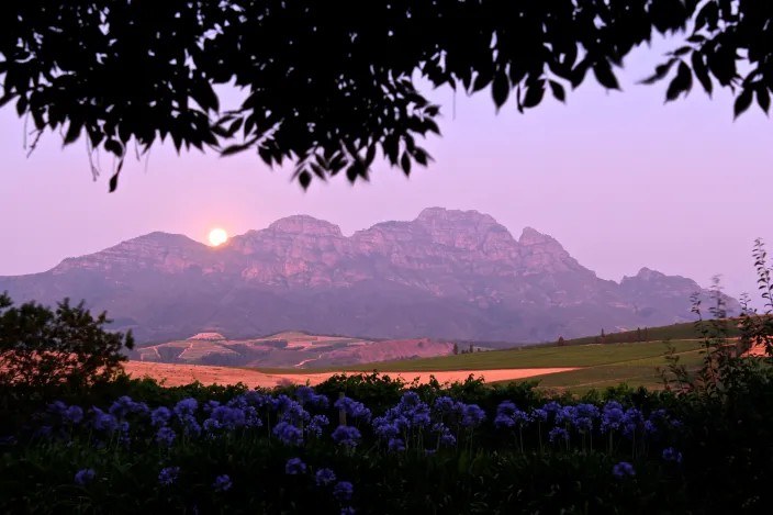 The Hills Wine
