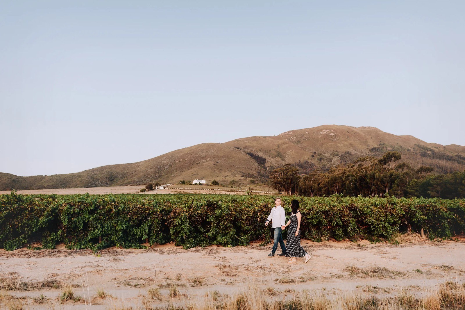 Simelia Wine Estate