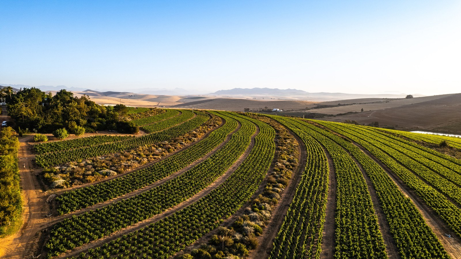 Mullineux Winery - Swartland