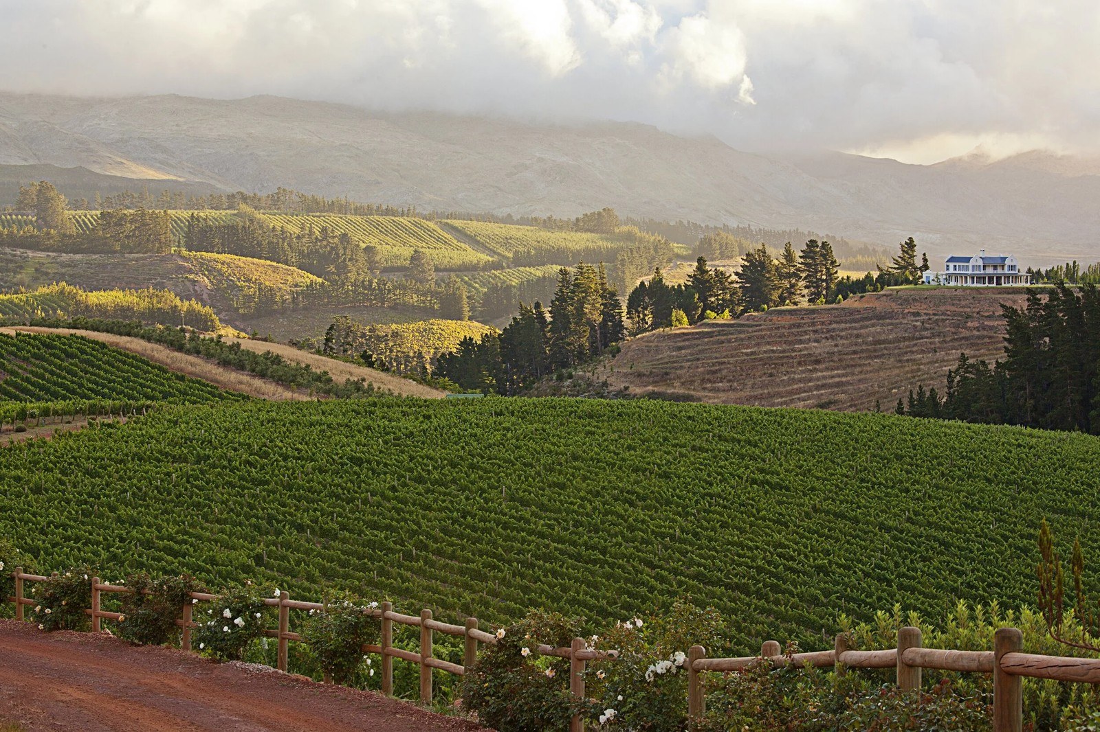 ONEIRIC WINES