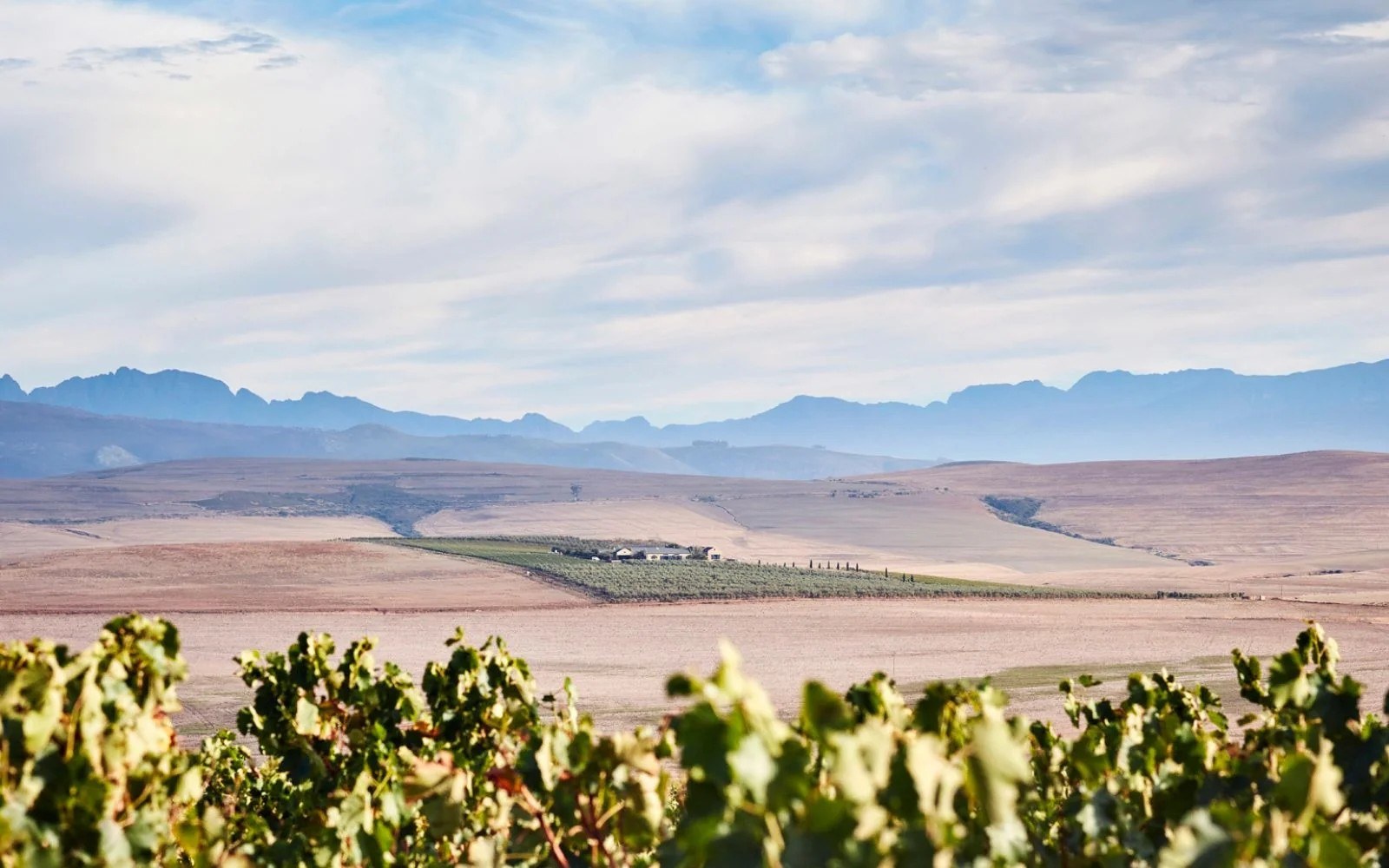 Gabrielskloof Wine Estate